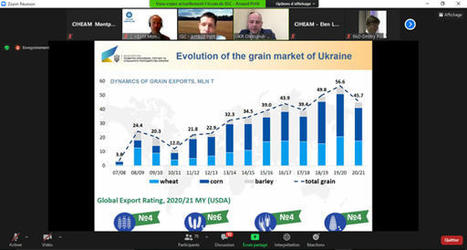 Webinar "How to get information on wheat quality?" IGC/CIHEAM MED-Amin coming soon (Oct. 25) | CIHEAM Press Review | Scoop.it