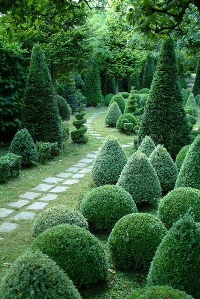 Geometric trees | 1001 Gardens | 1001 Gardens ideas ! | Scoop.it
