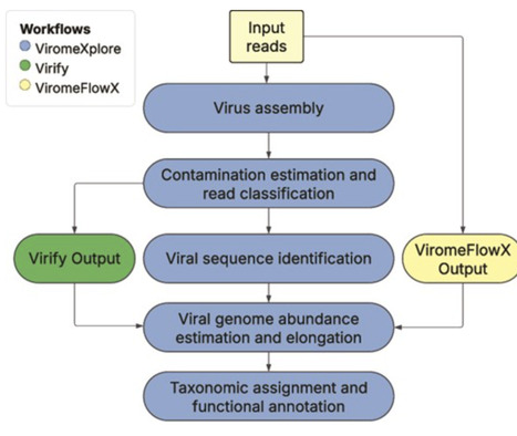 ViromeXplore: integrative workflows for complete and reproducible virome characterization | bft | RMH | Scoop.it