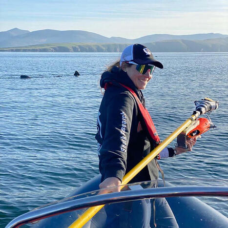 Basking shark working group tallies sightings in Salish Sea and beyond  | Soggy Science | Scoop.it