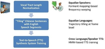 Turning a monolingual speaker into multi-lingual | Amazing Science | Scoop.it