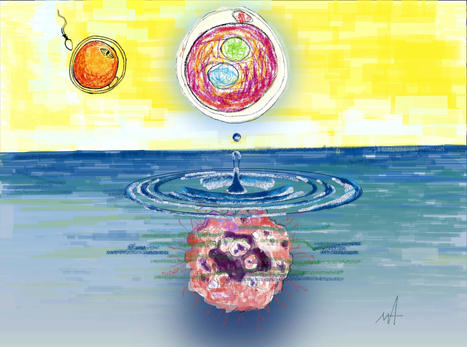 Do human embryos and cancer share the same starting fuse? | Amazing Science | Scoop.it