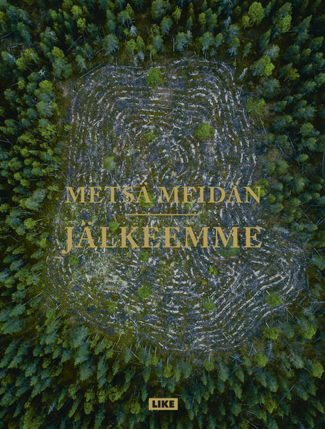 Metsä meidän jälkeemme | 1Uutiset - Lukemisen tähden | Scoop.it