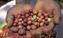 Lower agriculture spending raises risks | Food & Nutrition Security in East Africa | Scoop.it