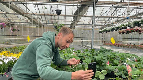 Avec plus de 40 000 abonnés, cet horticulteur normand cultive son influence sur les réseaux sociaux - Ouest France [Abonnés] | Agriculture et communication positive | Scoop.it