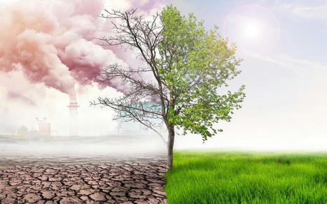 Sénégal : Un projet de réduction de la vulnérabilité aux changements climatiques lancé à Kolda | Veille UrbaLyon :  Les transitions dans les Pays du Sud | Scoop.it
