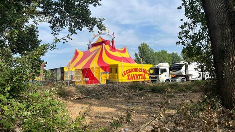 Landes&nbsp;: le cirque Zavatta s&rsquo;installe contre l&rsquo;avis du maire de Vieux-Boucau, qui d&eacute;pose une plainte en gendarmerie | Landes - Conseils municipaux & communautaires | Scoop.it