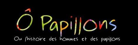 Film - Ô Papillons | Remue-méninges FLE | Scoop.it