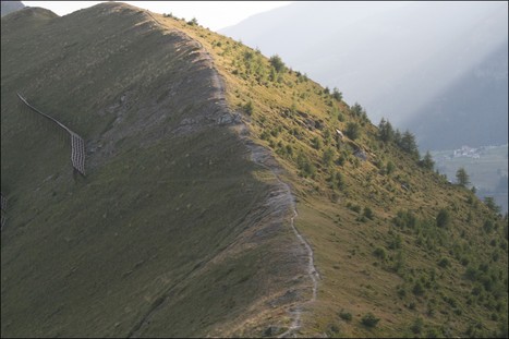 Les sommets des Alpes verdissent… et certains beaucoup plus vite que d’autres | Biodiversité | Scoop.it