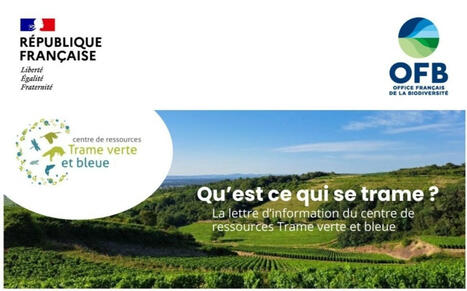 "Qu'est-ce qui se trame ?" N°48 Mars 2025 - Centre de ressources Trame verte et bleue | Biodiversité | Scoop.it