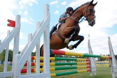 Le Jumping de Marmande à cheval sur l’esthétisme | Cheval et sport | Scoop.it