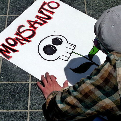 Manipulations génétiques : Monsanto n’est pas le seul ! | Toxique, soyons vigilant ! | Scoop.it