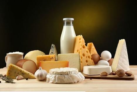 Tunisie : 11 millions de litres de produits laitiers exportés en 2017, un record ! | Lait de Normandie... et d'ailleurs | Scoop.it