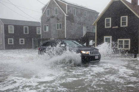 Coastal Real Estate Worth Billions at Risk of Chronic Flooding as Sea Level Rises | Coastal Restoration | Scoop.it