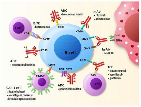 IJMS | Free Full-Text | Promising Immunotherapeutic Modalities for B-Cell Lymphoproliferative Disorders | HTML | Hematology | Scoop.it