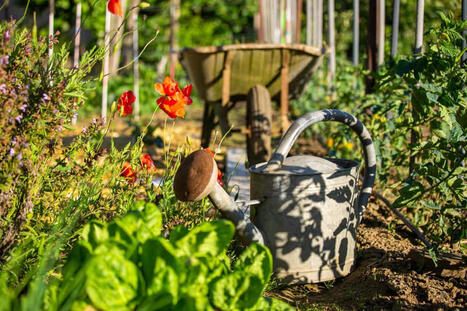 Changement climatique : les Français revoient leur façon de jardiner | Planète DDurable | Scoop.it