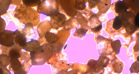 Nanoclay: the liquid turning desert to farmland | Stage 5 Sustainable Biomes | Scoop.it