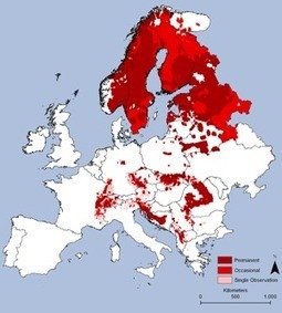 Large Carnivores - Environment - European Commission | Biodiversité | Scoop.it