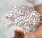 11/06/20 - Eclairer l’apprentissage à la lumière des neurosciences | Formation : Innovations et EdTech | Scoop.it