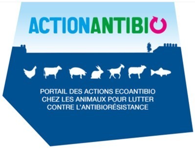 Centre de Ressources des actions Ecoantibio pour les professionnels des filières animales | Lait de Normandie... et d'ailleurs | Scoop.it