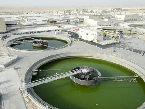 EGYPT Inaugurates the World’s Largest Wastewater Plant | CIHEAM Press Review | Scoop.it