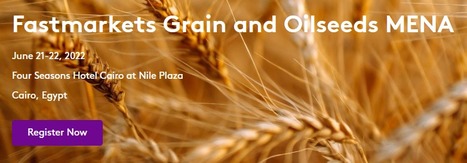 Grain and Oilseeds MENA conference, Cairo, 21-22 June 2022: Resilience of MENA countries in the 2022-23 trading season | CIHEAM Press Review | Scoop.it