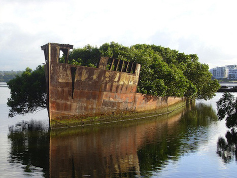Âgé de plus d’un siècle, un bateau abandonné devient une forêt flottante | Ces infos qui nous font du bien | Scoop.it