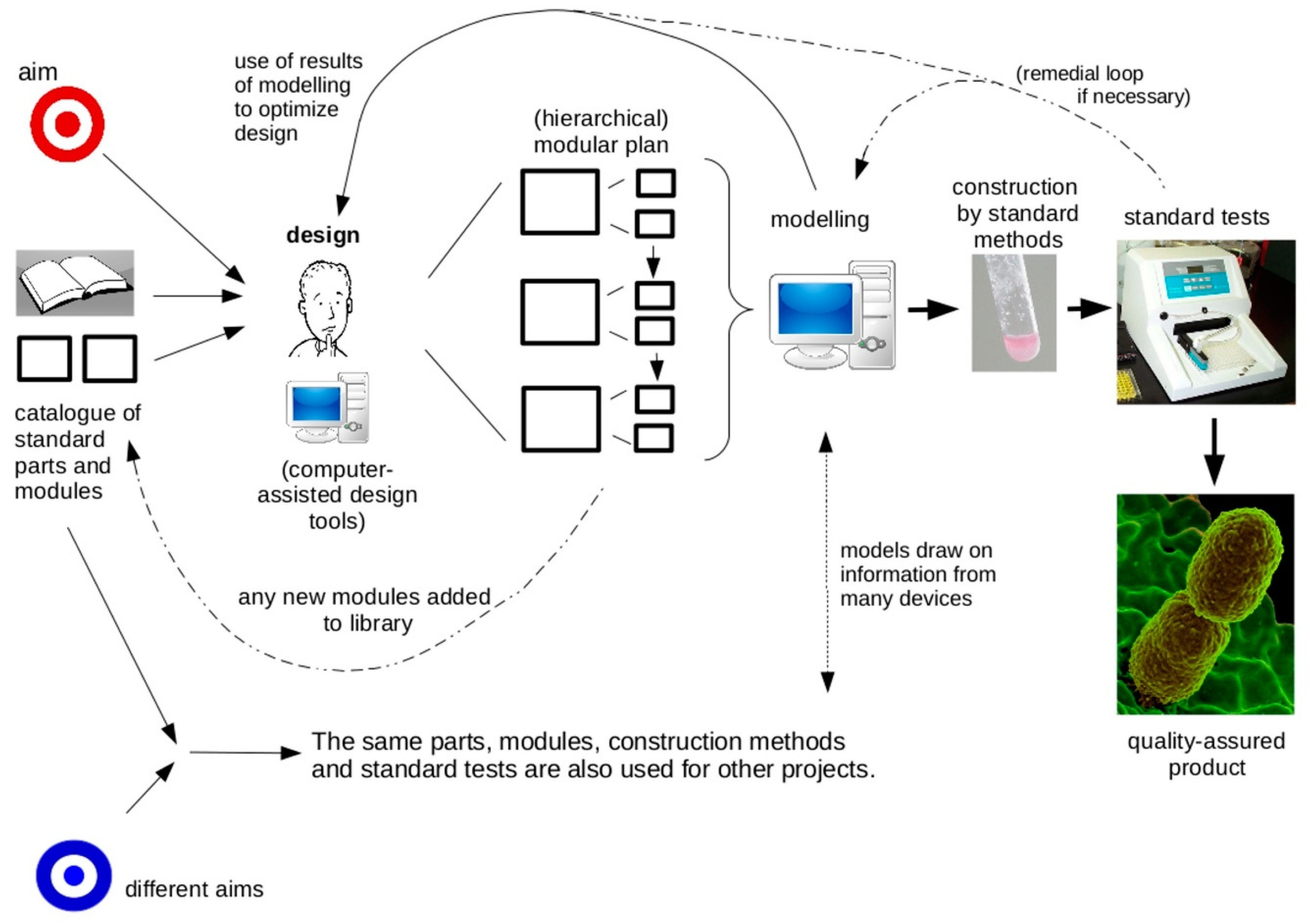 Real-World Synthetic Biology: Is It Founded on ...