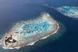 Sinking FADs In Palau - Misusing Technology To Empty Our Ocean | OUR OCEANS NEED US | Scoop.it