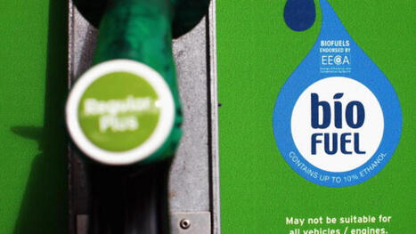 ASIE : L'Indon&eacute;sie et la Malaisie parient toujours plus sur les agrocarburants&nbsp; | ASIES | Scoop.it