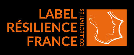 Gestion de crise et outils numériques : la plateforme PUMA-X à Cannes – Label Résilience France Collectivités | PUMA-X | Scoop.it