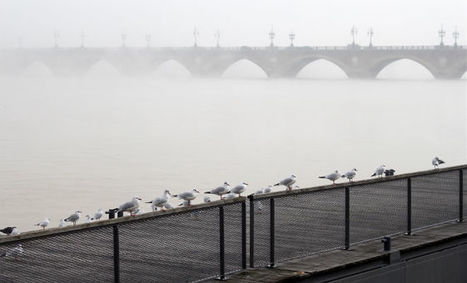 Aqui-Bordeaux-Métropole devient "Métropole" | Territoires - Société | Scoop.it