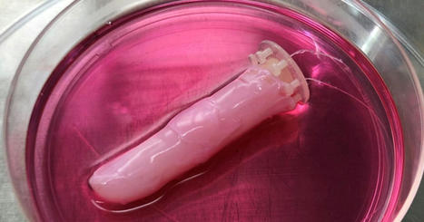 Scientists Craft 'Living Skin' for Robots, Made of Human Cells | Imagine Online International Education | Scoop.it