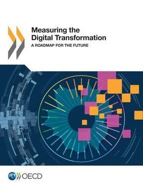 Medición de la Transformación Digital: Una hoja de ruta para el futuro | Bibliotecas, bibliotecarios y otros bichos | Scoop.it