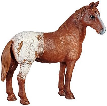 schleich appaloosa