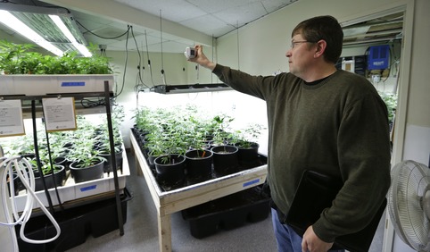 Washington permit offices flooded with marijuana applications - Washington Times | ReactNow - Latest News updated around the clock | Scoop.it