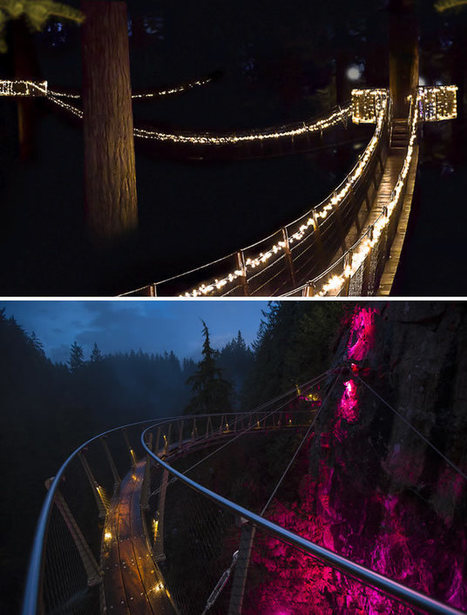 Canyon Lights: Christmas Lighting in a Rainforest | Philips Lighting | Sustainability Science | Scoop.it