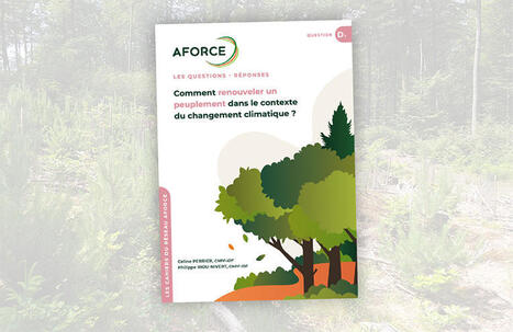 Comment renouveler un peuplement dans le contexte des changements climatiques ? | For&ecirc;t, Bois, Milieux naturels : sciences et techniques | Scoop.it