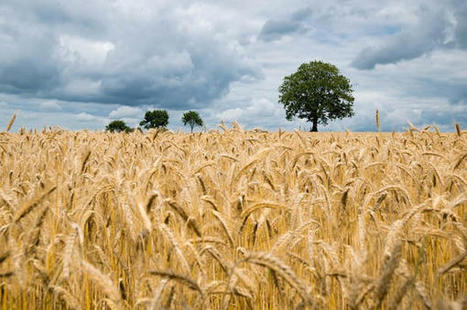 The gentlemen farmers with a mysterious past – Prince Edward County Moments | Strange Ontario | Scoop.it