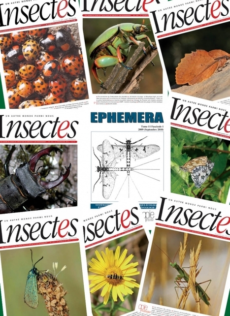 Déstockage revues Insectes et Ephemera | Variétés entomologiques | Scoop.it