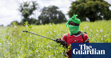 HEALTH: Almost half of world&rsquo;s farmers poisoned by pesticides every year | ALIMENTATIONS | Scoop.it