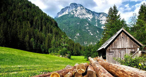 Le Cerema a évalué les services écosystémiques fournis par la forêt alpine | Biodiversité | Scoop.it