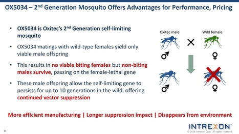 L’agence américaine de protection de l’environnement (EPA) a décidé d’homologuer un nouveau lâcher de 2 milliards de moustiques mâles génétiquement modifiés en Californie et en Floride | EntomoNews | Scoop.it