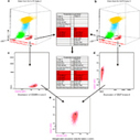 EuroFlow standardization of flow cytometer instrument settings and immunophenotyping protocols - Leukemia | Immunology Diagnosis | Scoop.it