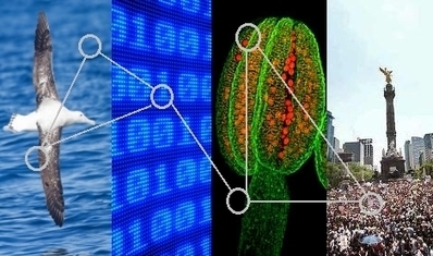 II Congreso Mexicano en Ciencias de la Complejidad | CxConferences | Scoop.it