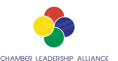 Wells Fargo collaborates with an alliance of diverse chambers of commerce on new Chamber Leadership Development Program | LGBTQ+ Online Media, Marketing and Advertising | Scoop.it