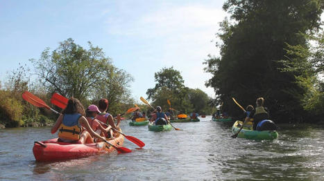 La Flèche. Une découverte des libellules lors d’une balade à kayak le 26 juin | Voyages,Tourisme et Transports... | Scoop.it