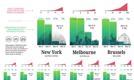 Global Shutdown: Visualizing Commuter Activity in the World's Cities | IELTS, ESP, EAP and CALL | Scoop.it