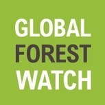 Interactive Map | Global Forest Watch | Galapagos | Scoop.it