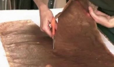 Un nouveau « tissu » végétal mis au point en Grande-Bretagne | Build Green, pour un habitat écologique | Scoop.it